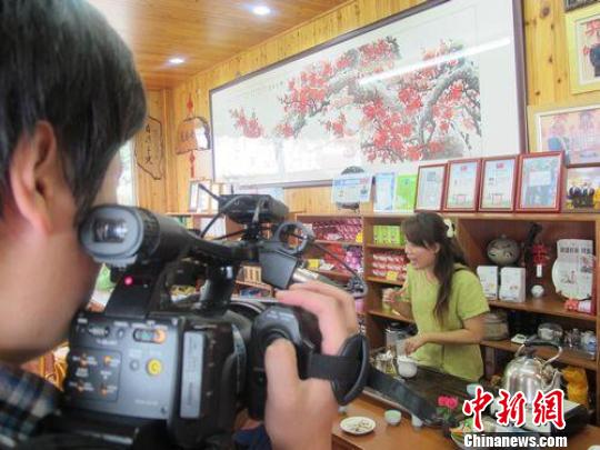 台湾写真：阿里山茶飘香海峡两岸