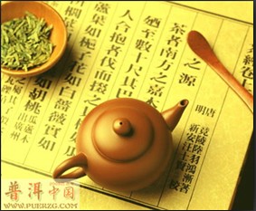 卧龙绿茶的历史由来