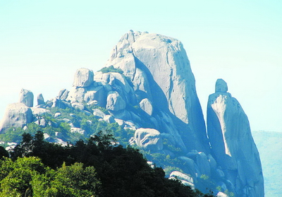 月之港乌山富硒有机茶园，上天恩赐的宝贝