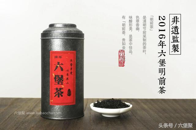 六堡茶特有的焗泡法，3分钟轻松学会！