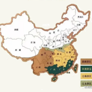 云南省茶产业建设和地方债支持情况汇总分析