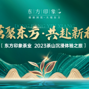 茗聚东方，共赴新程——东方印象茶业2023茶山沉浸体验之旅成功举办 ...